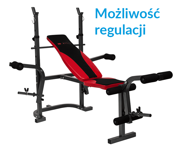 Zestaw obciążeń Xylo Solid kg Zestaw obciążeń Xylo Solid kg