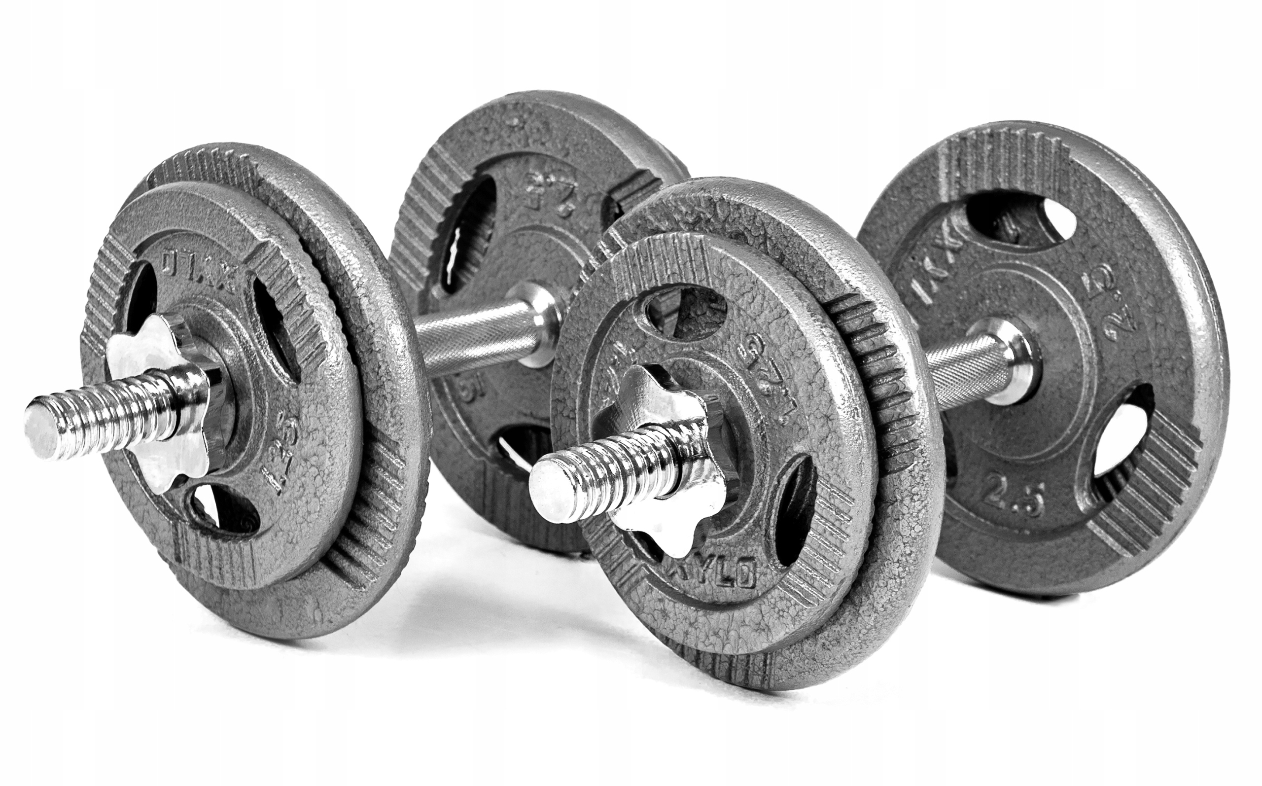 Hantle żeliwne Xylo 2x10 kg z kategorii Hantle regulowane, marka Xylo Hantle żeliwne Xylo 2x10 kg z kategorii Hantle regulowane, marka Xylo