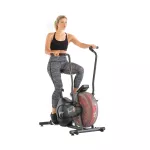 Rower powietrzny Schwinn Airdyne AD2i Rower powietrzny Schwinn Airdyne AD2i