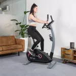 Rower programowany Flow Fitness Turner DHT2000i
