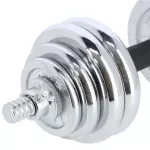 Sztangielki - sztanga w walizce chrom HMS STC30 2x15kg Sztangielki - sztanga w walizce chrom HMS STC30 2x15kg