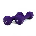 Hantelki fitness Sapphire SG-1102DV 2x2 kg