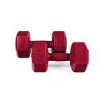 Hantle treningowe Sapphire SG-742 CNT 2x4 kg