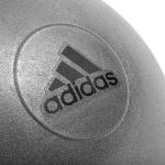 Piłka gimnastyczna 65 cm Adidas ADBL-11246GR - szara