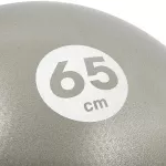 Piłka gimnastyczna 65 cm Reebok RAB-40016BK - szara Piłka gimnastyczna 65 cm Reebok RAB-40016BK - szara
