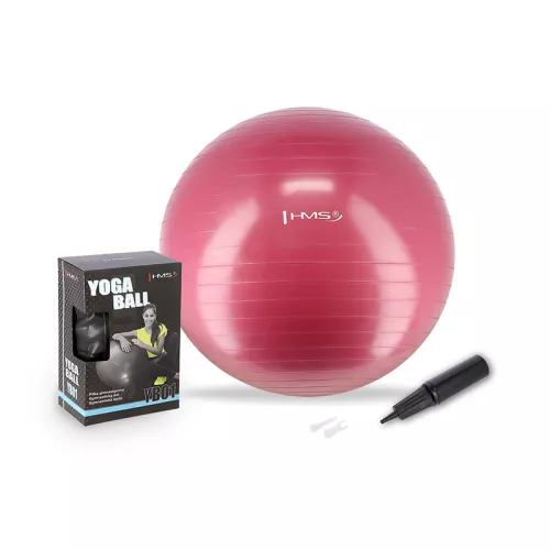 Piłka gimnastyczna z pompką HMS YB01 Plum 65 cm - śliwka Piłka gimnastyczna z pompką HMS YB01 Plum 65 cm - śliwka