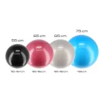 Piłka gimnastyczna z pompką HMS YB01 Plum 65 cm - śliwka Piłka gimnastyczna z pompką HMS YB01 Plum 65 cm - śliwka