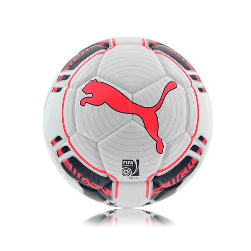 Piłka Nożna Puma Evo Power Futsal 082234 15 4