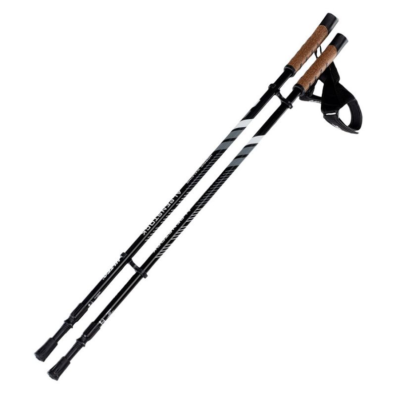 Kije trekkingowe HI-TEC