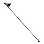 Kije do nordic walking Nils NW607 - niebieskie