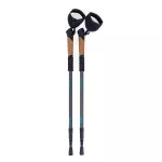 Kije do nordic walking trekking Sapphire ST-073 + 2 pary końcówek i pokrowiec - szare