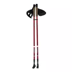 Kije do nordic walking Nils NW802