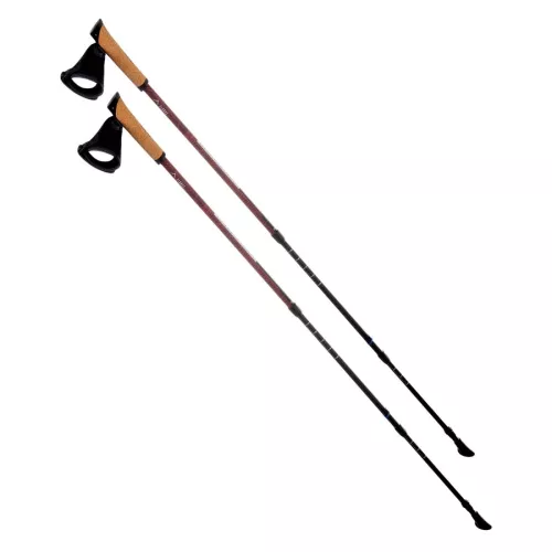 Kije do nordic walking Elbrus Cliogo