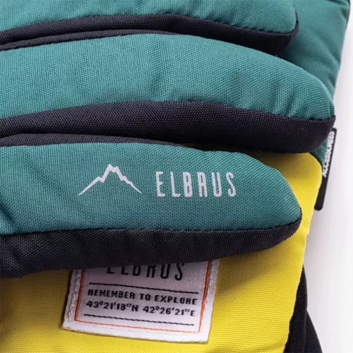 Rękawice narciarskie męskie Elbrus Pointe - zielono-żółte