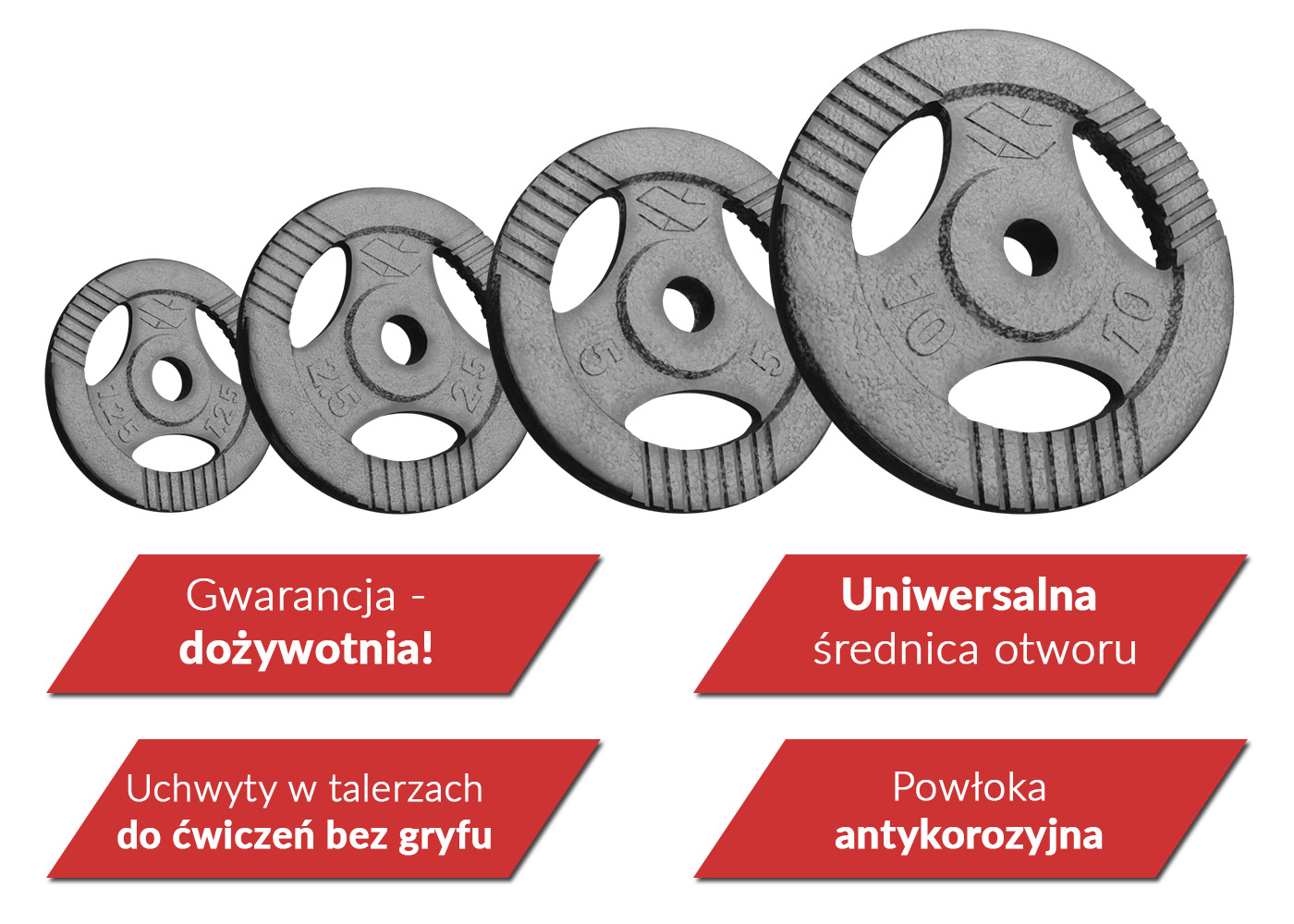 Obciążenia żeliwne Sapphire 1,25 kg